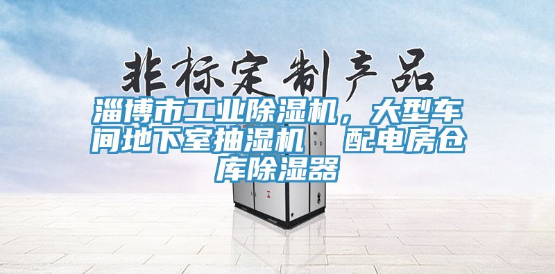 淄博市工業(yè)除濕機(jī)，大型車間地下室抽濕機(jī)  配電房倉(cāng)庫(kù)除濕器