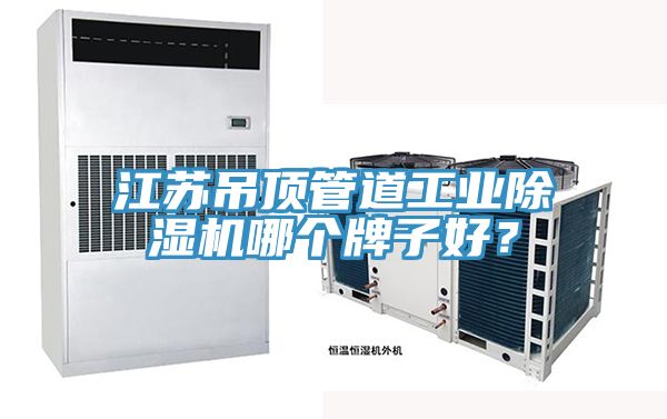 江蘇吊頂管道工業(yè)除濕機(jī)哪個(gè)牌子好？