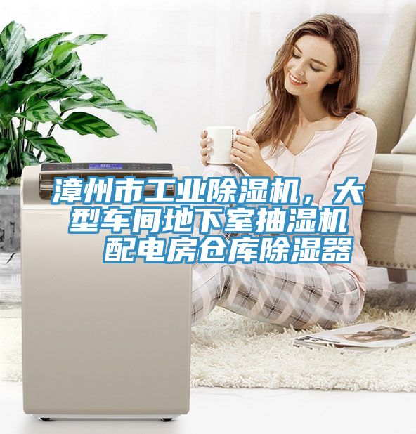 漳州市工業(yè)除濕機，大型車間地下室抽濕機  配電房倉庫除濕器