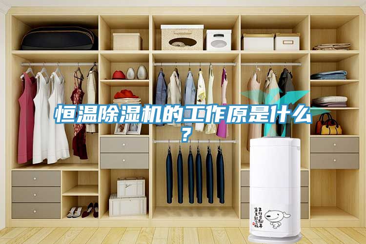 恒溫除濕機(jī)的工作原是什么？