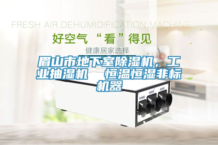 眉山市地下室除濕機，工業(yè)抽濕機  恒溫恒濕非標機器