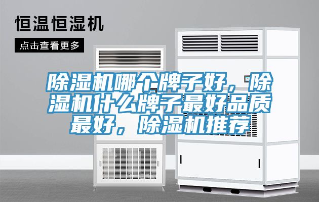 除濕機(jī)哪個(gè)牌子好，除濕機(jī)什么牌子最好品質(zhì)最好，除濕機(jī)推薦