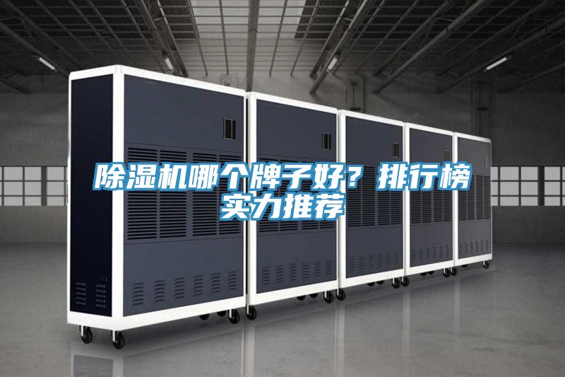 除濕機(jī)哪個(gè)牌子好？排行榜實(shí)力推薦