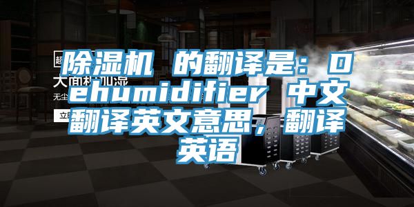 除濕機(jī) 的翻譯是：Dehumidifier 中文翻譯英文意思，翻譯英語