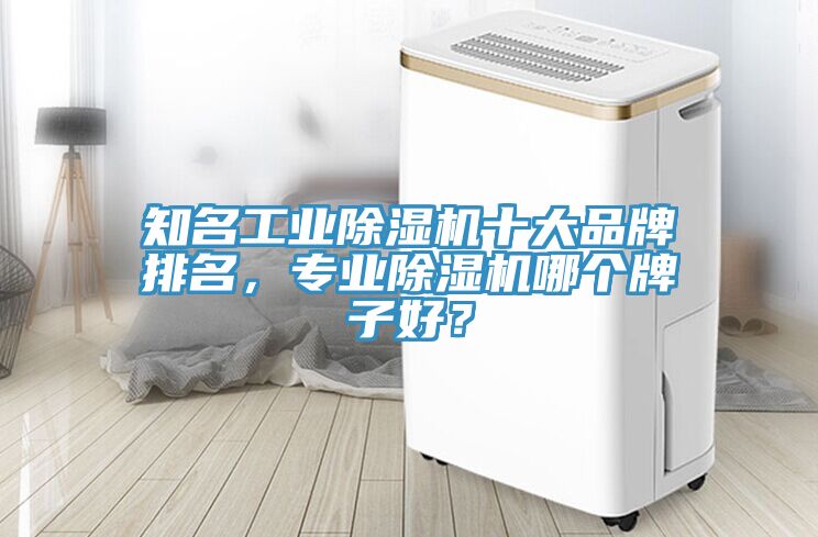 知名工業(yè)除濕機十大品牌排名，專業(yè)除濕機哪個牌子好？