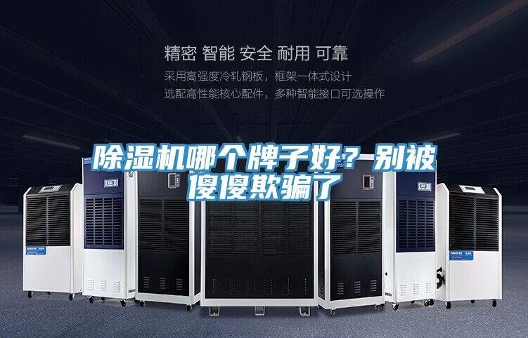 除濕機(jī)哪個(gè)牌子好？別被傻傻欺騙了