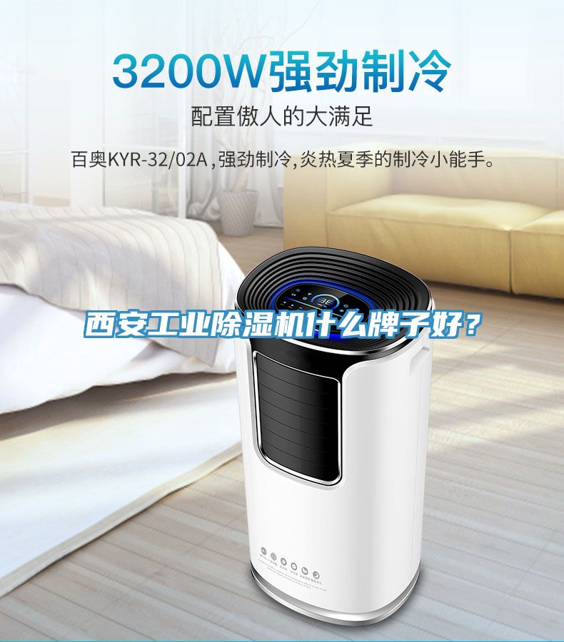 西安工業(yè)除濕機(jī)什么牌子好？