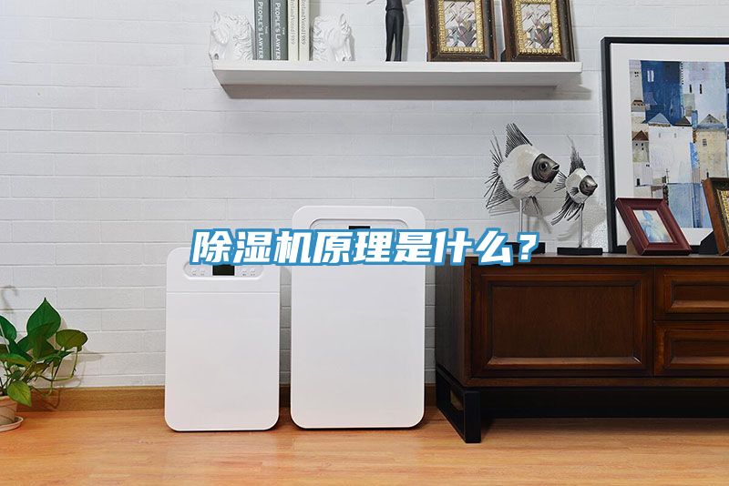 除濕機(jī)原理是什么？