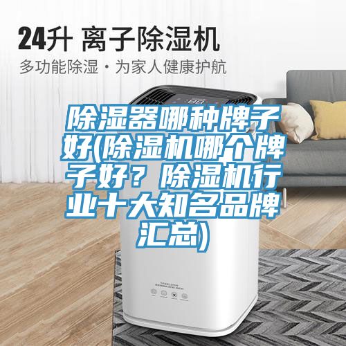 除濕器哪種牌子好(除濕機哪個牌子好？除濕機行業(yè)十大知名品牌匯總)