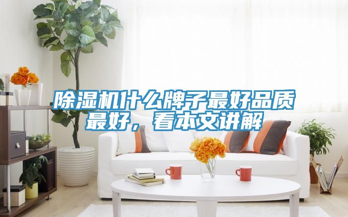 除濕機(jī)什么牌子最好品質(zhì)最好，看本文講解