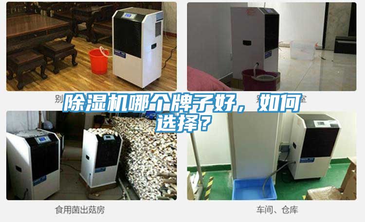 除濕機(jī)哪個(gè)牌子好，如何選擇？