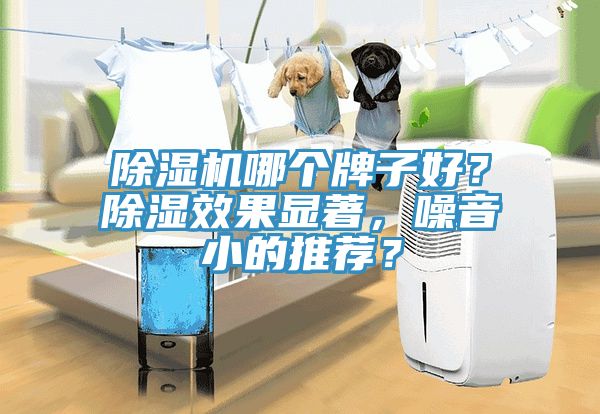 除濕機(jī)哪個(gè)牌子好？除濕效果顯著，噪音小的推薦？