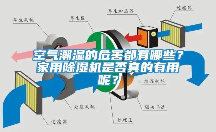 空氣潮濕的危害都有哪些？家用除濕機是否真的有用呢？