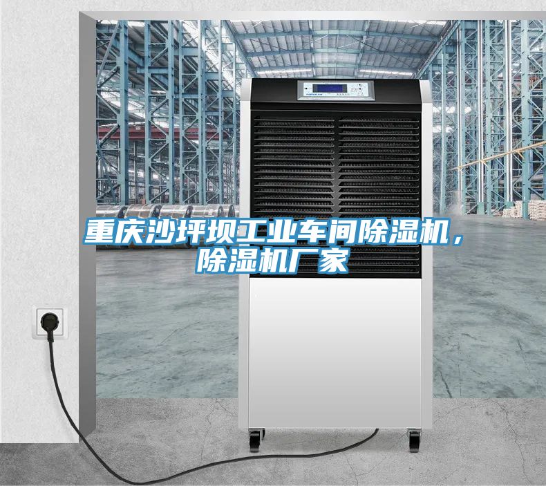 重慶沙坪壩工業(yè)車間除濕機(jī)，除濕機(jī)廠家