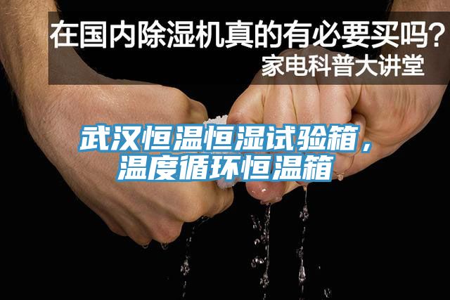武漢恒溫恒濕試驗箱，溫度循環(huán)恒溫箱
