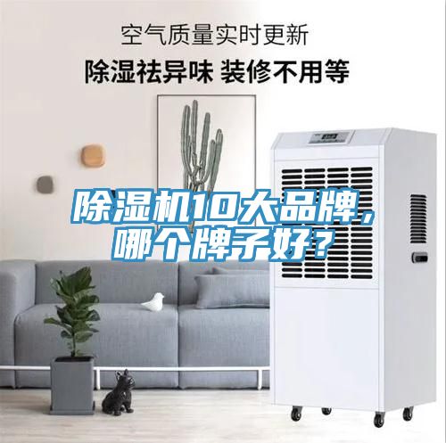 除濕機10大品牌，哪個牌子好？