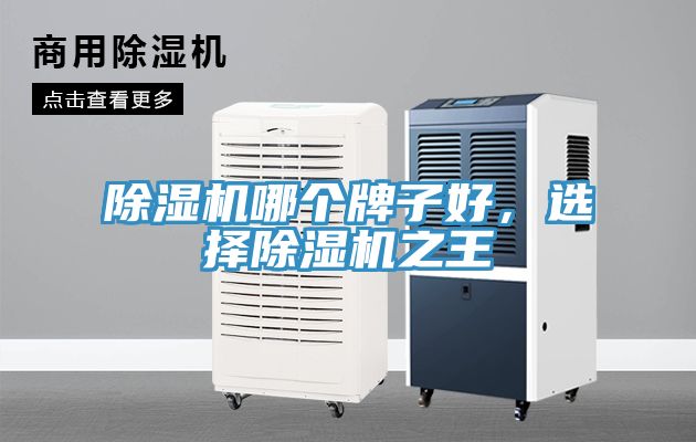 除濕機(jī)哪個(gè)牌子好，選擇除濕機(jī)之王
