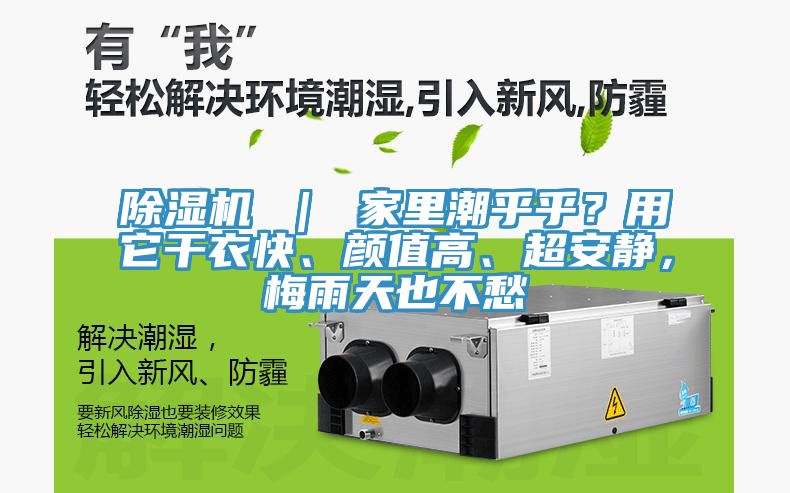 除濕機(jī) ｜ 家里潮乎乎？用它干衣快、顏值高、超安靜，梅雨天也不愁