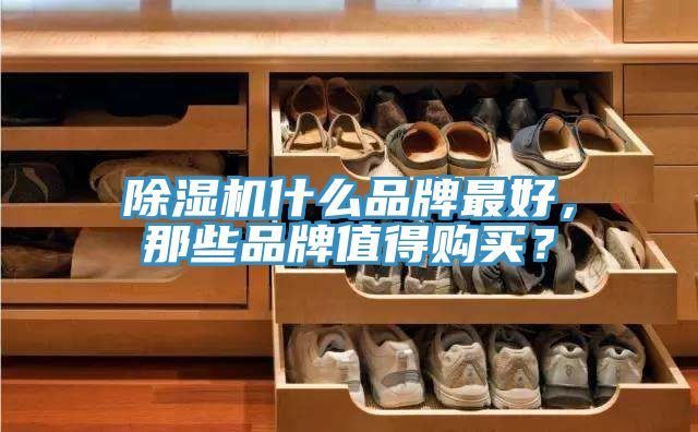 除濕機(jī)什么品牌最好，那些品牌值得購買？