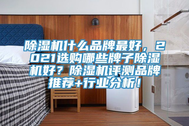 除濕機(jī)什么品牌最好，2021選購哪些牌子除濕機(jī)好？除濕機(jī)評測品牌推薦+行業(yè)分析！