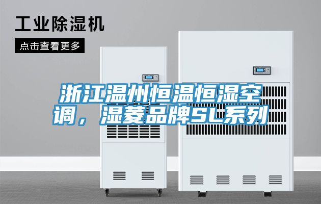 浙江溫州恒溫恒濕空調(diào)，濕菱品牌SL系列