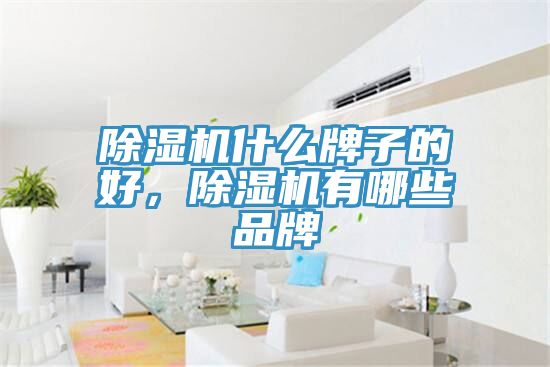 除濕機(jī)什么牌子的好，除濕機(jī)有哪些品牌