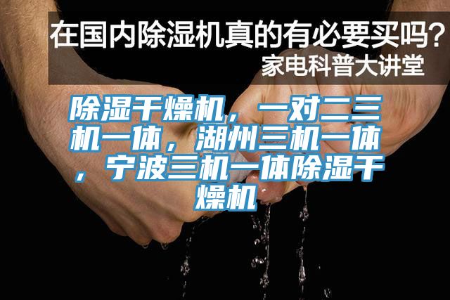 除濕干燥機，一對二三機一體，湖州三機一體，寧波三機一體除濕干燥機