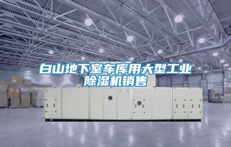 白山地下室車(chē)庫(kù)用大型工業(yè)除濕機(jī)銷(xiāo)售
