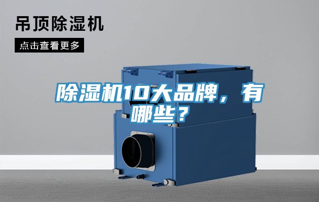 除濕機10大品牌，有哪些？