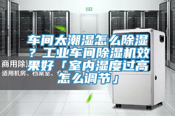 車間太潮濕怎么除濕？工業(yè)車間除濕機(jī)效果好「室內(nèi)濕度過(guò)高怎么調(diào)節(jié)」