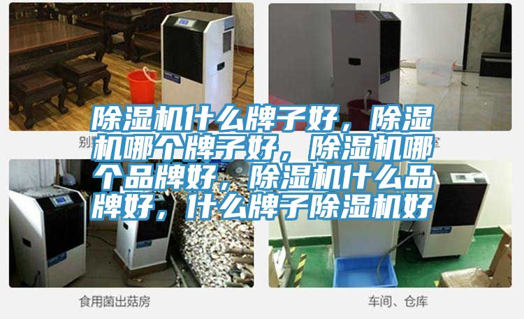除濕機(jī)什么牌子好，除濕機(jī)哪個牌子好，除濕機(jī)哪個品牌好，除濕機(jī)什么品牌好，什么牌子除濕機(jī)好