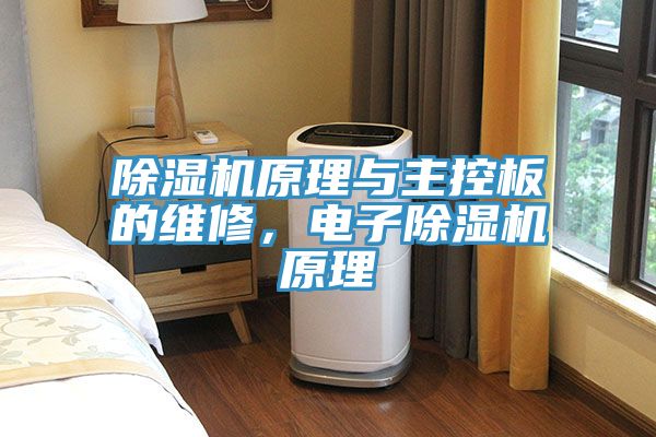 除濕機(jī)原理與主控板的維修，電子除濕機(jī)原理