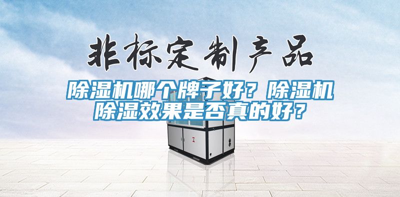 除濕機(jī)哪個(gè)牌子好？除濕機(jī)除濕效果是否真的好？