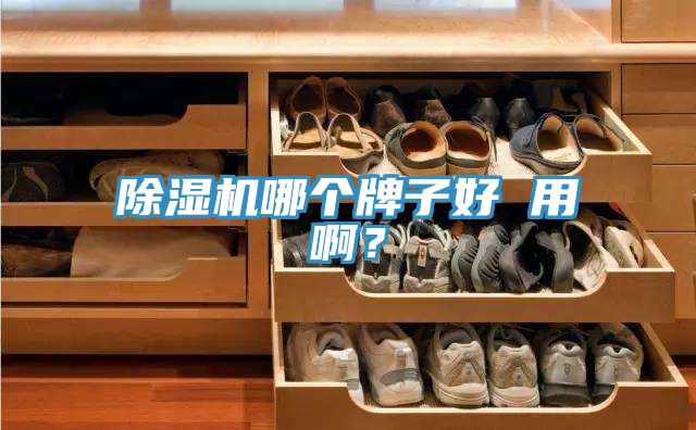 除濕機(jī)哪個牌子好 用?。?></div>
								<div   id=