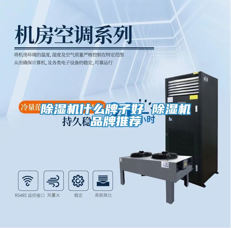 除濕機(jī)什么牌子好 除濕機(jī)品牌推薦