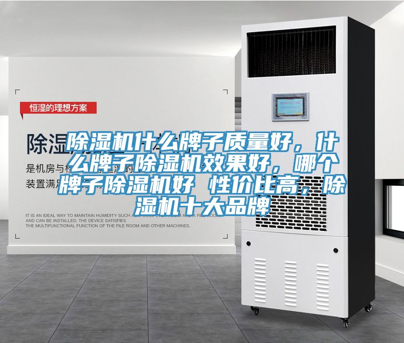 除濕機(jī)什么牌子質(zhì)量好，什么牌子除濕機(jī)效果好，哪個(gè)牌子除濕機(jī)好 性價(jià)比高，除濕機(jī)十大品牌