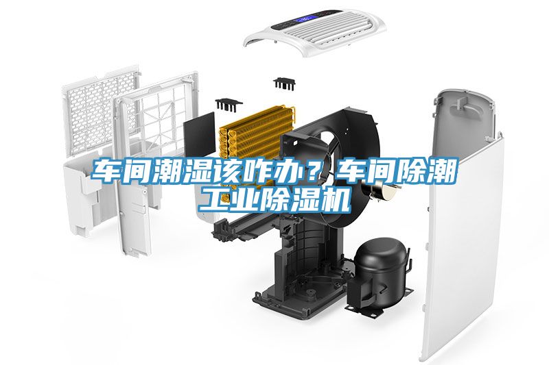 車間潮濕該咋辦？車間除潮工業(yè)除濕機(jī)