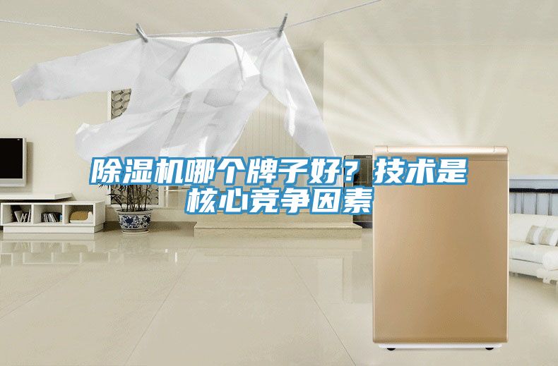 除濕機(jī)哪個(gè)牌子好？技術(shù)是核心競爭因素