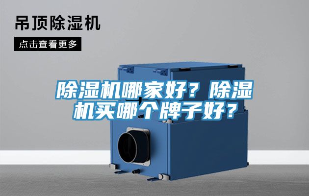除濕機(jī)哪家好？除濕機(jī)買哪個(gè)牌子好？