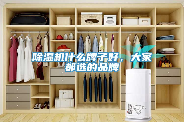 除濕機(jī)什么牌子好，大家都選的品牌