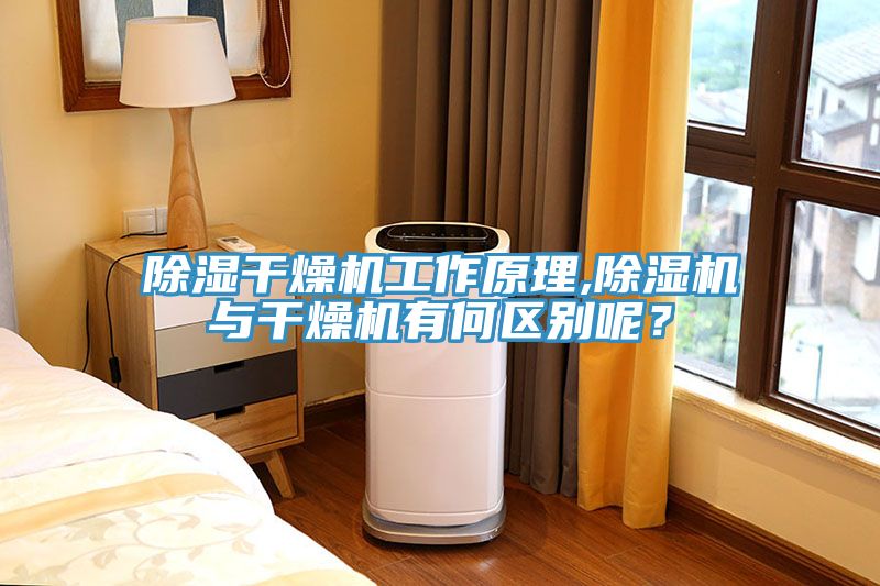 除濕干燥機工作原理,除濕機與干燥機有何區(qū)別呢？
