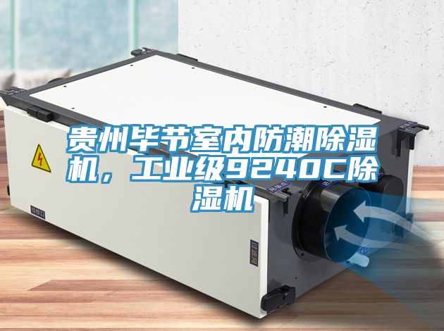 貴州畢節(jié)室內(nèi)防潮除濕機，工業(yè)級9240C除濕機