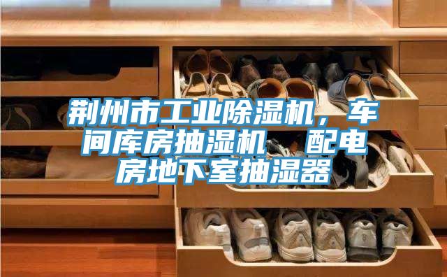 荊州市工業(yè)除濕機(jī)，車(chē)間庫(kù)房抽濕機(jī)  配電房地下室抽濕器