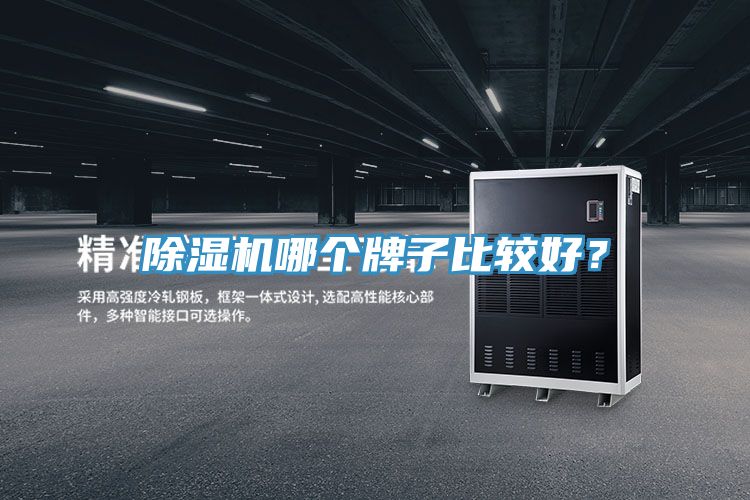 除濕機(jī)哪個(gè)牌子比較好？