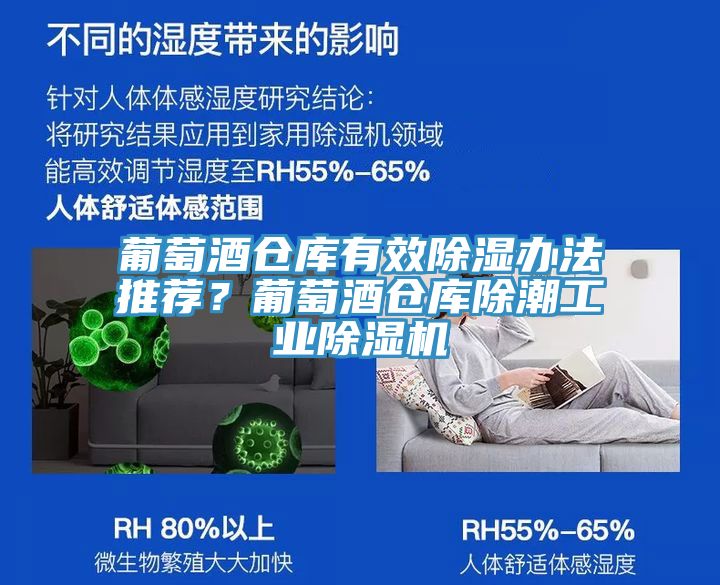 葡萄酒倉庫有效除濕辦法推薦？葡萄酒倉庫除潮工業(yè)除濕機