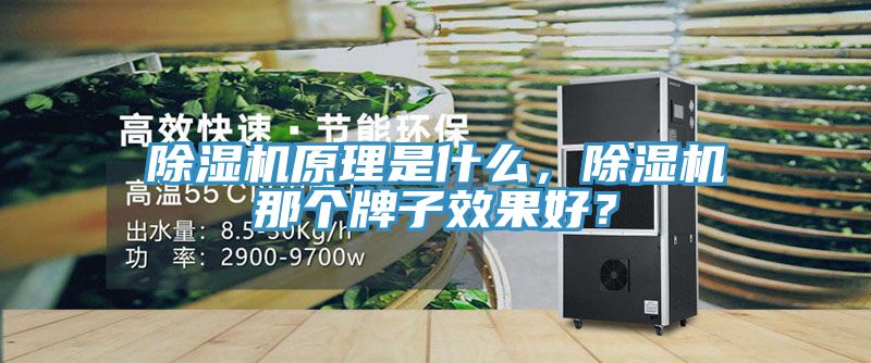 除濕機(jī)原理是什么，除濕機(jī)那個(gè)牌子效果好？