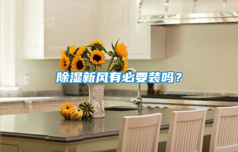 除濕新風有必要裝嗎？