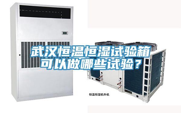 武漢恒溫恒濕試驗箱可以做哪些試驗？
