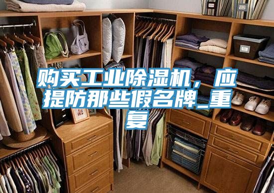 購(gòu)買工業(yè)除濕機(jī)，應(yīng)提防那些假名牌_重復(fù)