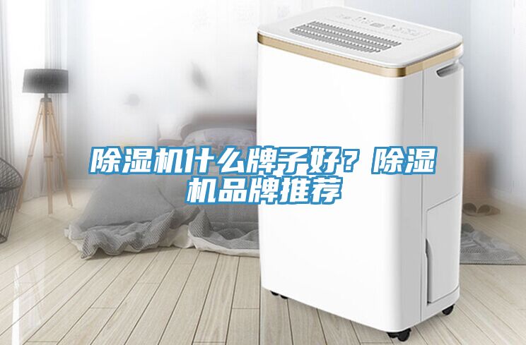 除濕機(jī)什么牌子好？除濕機(jī)品牌推薦